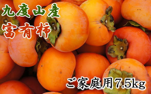 ≪柿の名産地≫九度山の富有柿約7.5kgご家庭用＜2024年11月上旬