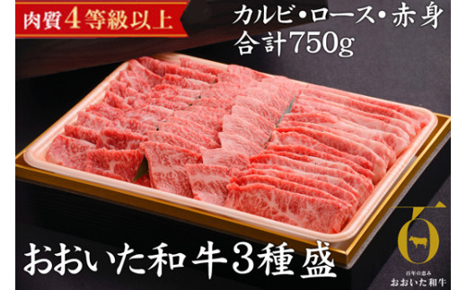 肉質4等級以上のお肉 おおいた和牛3種盛(カルビ・ロース・赤身)(合計750g)【1089360】