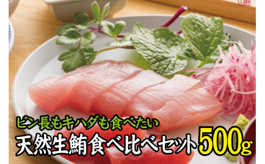 天然生まぐろ食べ比べセット 500g　キハダ（もしくはメバチ）＋びん長まぐろのセット / 生鮪 鮪 マグロ 生まぐろ キハダマグロ ビンチョウマグロ  刺身|株式会社高岡商店