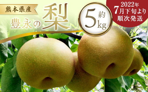 [2022年7月下旬〜発送]熊本県産 梨 約5kg 幸水 新高 新興 果物