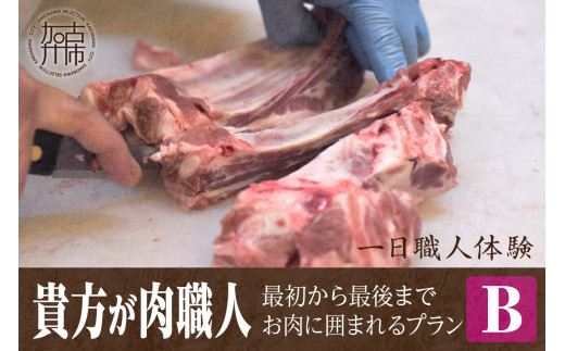 [プランB]最初から最後までお肉に囲まれるプラン[2423L00629_02]