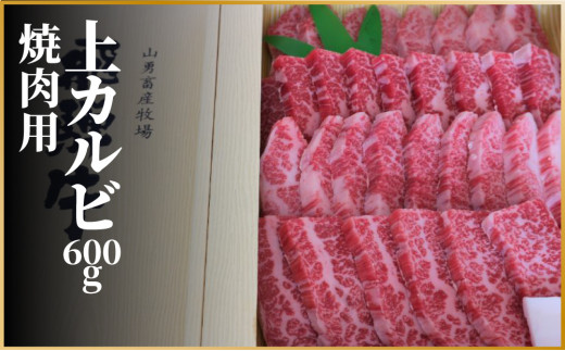 飛騨牛 上カルビ 焼肉用 600g 牛肉 和牛 肉 牛肉 和牛 御歳暮 熨斗掛け