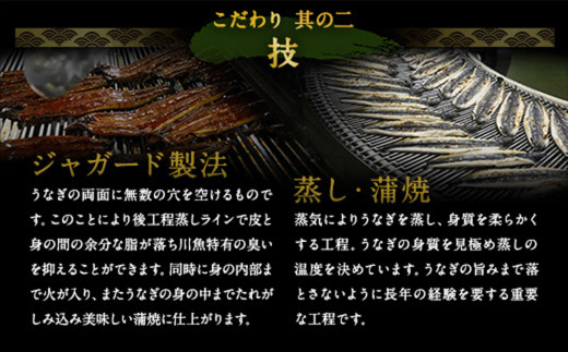 【6ヶ月定期便】鰻天屋の 九州産 うなぎ 蒲焼 約140g×2尾 セット