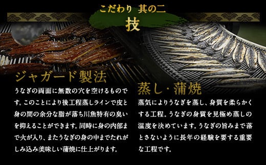 【 3ヶ月定期便】鰻天屋の 九州産 うなぎ 蒲焼 約140g×2尾 セット