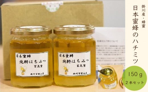 １４８９ 超希少！掛川で採種した蜂蜜「 日本ミツバチ 」の ハチミツ