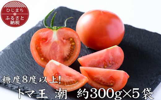 糖度8度以上＞あま～いトマト「トマ王 潮」(約300g×5袋)【1087105 ...