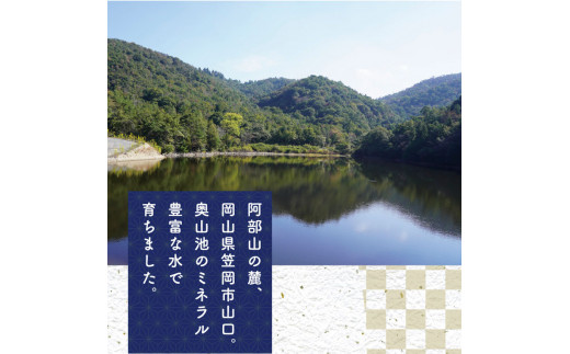 O-2_30k 【令和5年産 新米先行受付】 岡山県産 ひのひかり 笠岡産 30kg