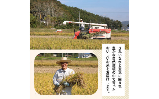 O-2_30k 【令和5年産 新米先行受付】 岡山県産 ひのひかり 笠岡産 30kg