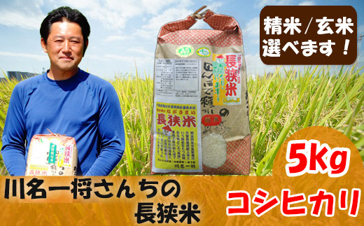 【令和5年産】川名一将さんちの長狭米 コシヒカリ5kg　精米・玄米選択可能  [0010-0306]