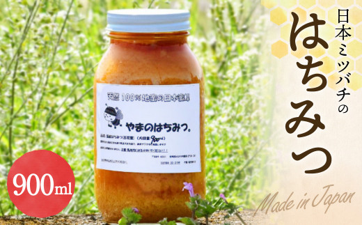 日本蜜蜂の蜂蜜 900ml ハチミツ 日本ミツバチ 百花蜜 天然100％ 297985 - 宮崎県えびの市