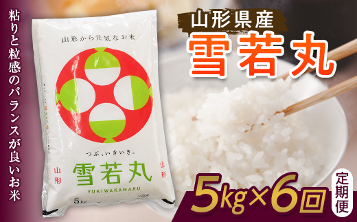 【定期便】山形県産 雪若丸 5kg×6回 F21A-120 301424 - 山形県山辺町