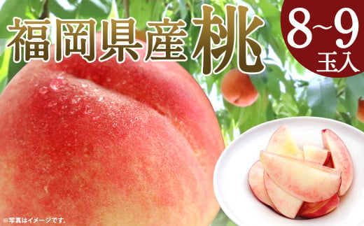  桃 8玉～9玉 福岡県産 産地直送 フルーツ 果物