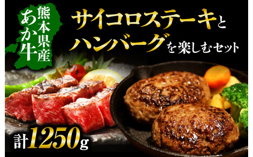 熊本県産 あか牛 を堪能！ サイコロステーキ と ハンバーグ を楽しむセット 合計1,250g