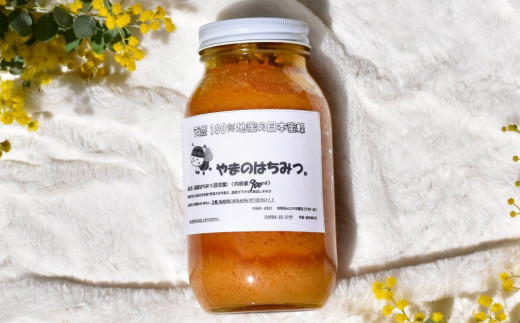 日本蜜蜂の蜂蜜 900ml ハチミツ 日本ミツバチ 百花蜜 天然100％ - 宮崎県えびの市｜ふるさとチョイス - ふるさと納税サイト
