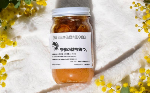 日本蜜蜂の蜂蜜 225ml ハチミツ 日本ミツバチ 百花蜜 天然100％ - 宮崎