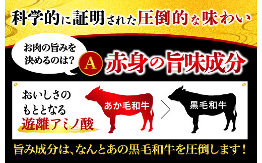 熊本県産 あか牛 モモステーキ 合計500g(250g×2パック) 和牛 牛肉