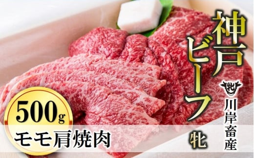 【神戸牛 牝】モモ肩焼肉用:500g 川岸畜産 (22-20)