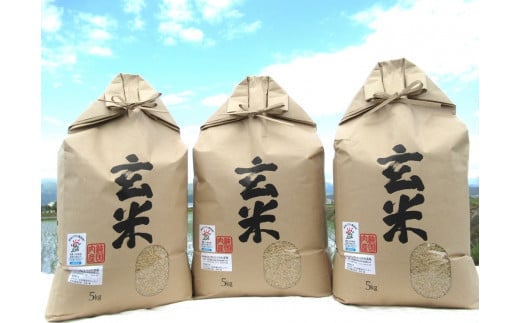 栽培期間中農薬不使用　滋賀県産　特別栽培米　コシヒカリ玄米5Kg×３袋　令和5年産 1310544 - 滋賀県長浜市