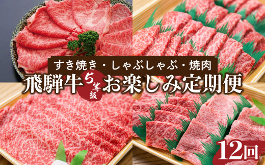 【ふるさと納税】定期便 全12回 飛騨牛 5等級 しゃぶしゃぶ すき焼き 焼肉 お楽しみ定期便 12ヵ月 ロース もも うで 食べ比べ 国産牛 国産 牛肉 肉 厳選 熟成 肉の沖村