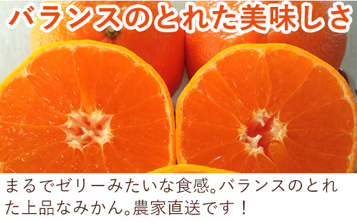 予約受付』麗紅(れいこう）ハウス栽培 唐津産 5kg【令和6年1月下旬発送