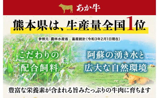 熊本県産 あか牛 モモステーキ 合計500g(250g×2パック) 和牛 牛肉