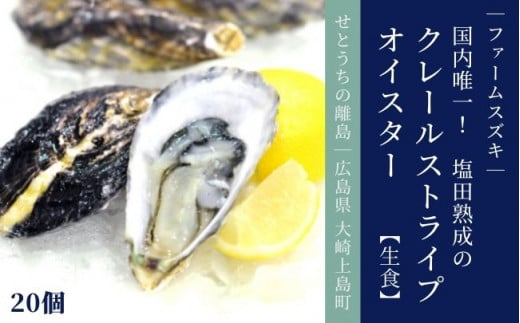 [11〜3月発送] 大崎上島産 塩田熟成の牡蠣 クレールストライプオイスター20個【生食】 498403 - 広島県大崎上島町