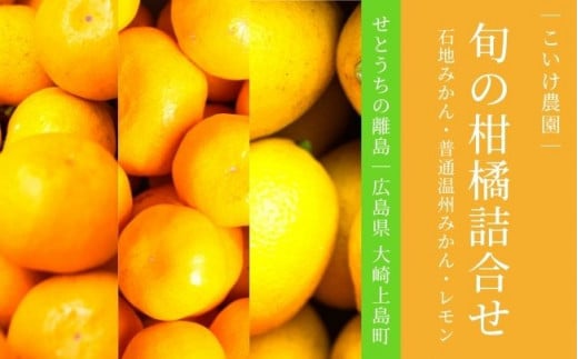 ｜予約｜大崎上島産 旬の柑橘詰合せ 石地みかん/普通温州みかん/レモン 約4kg