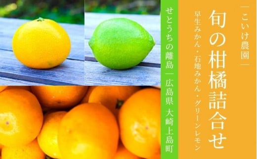 [11〜12月発送] 大崎上島産 旬の柑橘詰合せ 早生みかん/石地みかん/緑レモン 約4kg