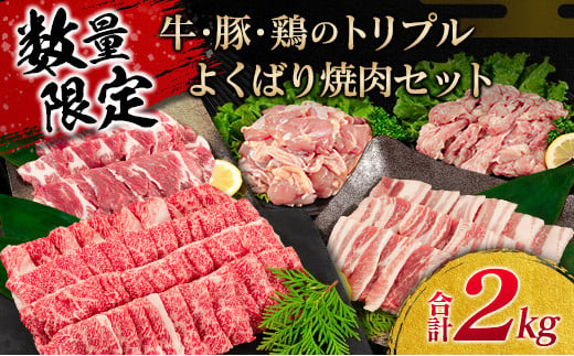 数量限定 牛 豚 鶏 トリプル よくばり 焼肉 セット 合計2kg 肉 牛肉