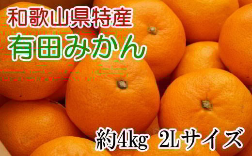 [秀品]和歌山有田みかん約4kg(2Lサイズ) ※2025年11月上旬～2026年1月下旬頃に順次発送予定（お届け日指定不可） 【tec915A】