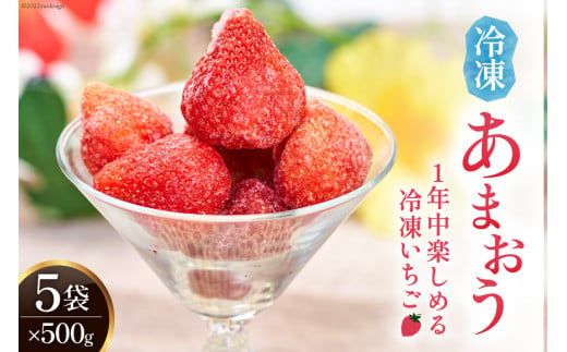 福岡の苺 あまおうをキンキンに冷やした 冷凍 あまおう 500g×5袋 / 南国フルーツ / 福岡県 筑紫野市