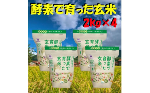 広島コシヒカリ酵素で育った玄米8kg【12