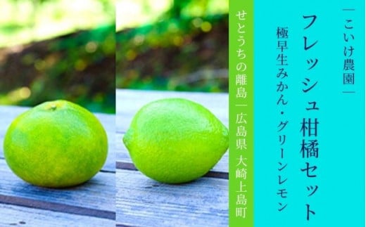 大崎上島産 フレッシュ柑橘セット 極早生みかん/グリーンレモン 約4kg