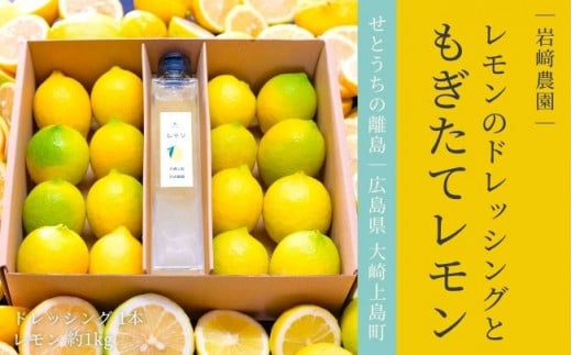 大崎上島産 レモンドレッシング＋生果レモン約1kgのセット