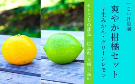 大崎上島産 爽やか柑橘セット 早生みかん/グリーンレモン 約4kg