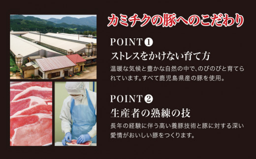 鹿児島県産豚4種類 3kgセット ロースしゃぶしゃぶ用 生姜焼き用 とんかつ用 豚こま切れ 鹿児島県南さつま市 ふるさと納税 ふるさとチョイス