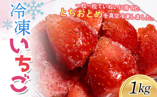 冷凍いちご　とちおとめ 1kg（500g×2パック） F20C-577 304203 - 福島県伊達市