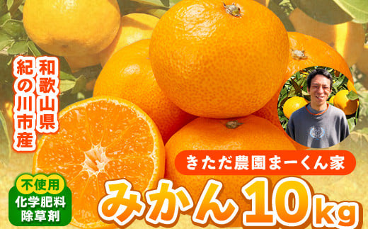 まーくん家のみかん 10kg 《11月中旬-12月中旬頃出荷》 和歌山県 紀の川市 柑橘 きただ農園まーくん家 化学肥料・除草剤不使用