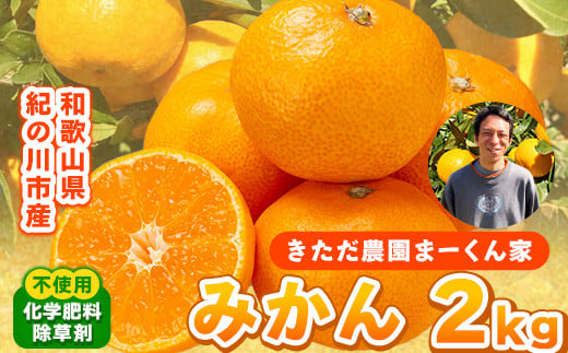 まーくん家のみかん 2kg 《11月中旬-12月中旬頃出荷》 和歌山県 紀の川市 柑橘 きただ農園まーくん家 化学肥料・除草剤不使用