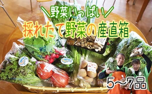G-005 【旬の野菜をお届け】八幡平のふるさと産直箱（小）