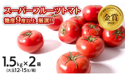スーパーフルーツトマト中箱 1.5kg×2箱【大玉 12〜15玉/1箱】糖度9度以上[AF036ci]