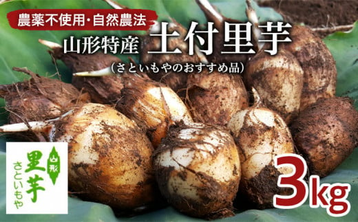 FY22-191 農薬不使用 自然農法 山形特産 土付里芋 3kg!(さといもやのおすすめ品)