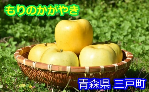 10/25 希少品種　幻のりんご　北紅　特秀品＋もりのかがやき＋ツガ松茸