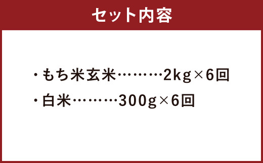 【定期便6ヵ月】熊本県 菊池産 もち米 玄米 2kg 白米 300g 計13.8kg ヒヨクモチ