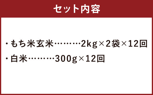 【定期便12ヵ月】 熊本県 菊池産 もち米 玄米 2kg×2袋 白米 300g 計51.6kg ヒヨクモチ