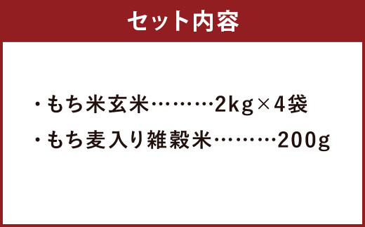 熊本県 菊池産 もち米 玄米 2kg×4袋 雑穀米 200g 計8.2kg ヒヨクモチ