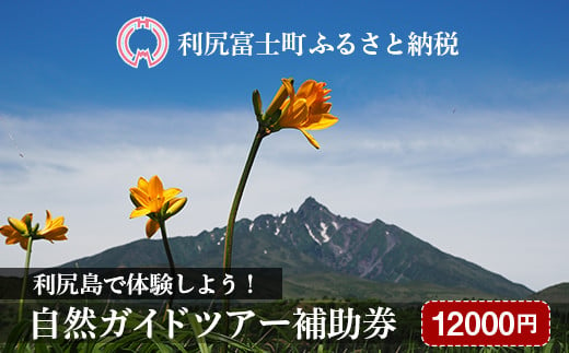 エメラルドグリーンの海を満喫！】利尻島シーカヤックツアー（60分）☆ペア体験チケット - 北海道利尻富士町｜ふるさとチョイス - ふるさと納税サイト