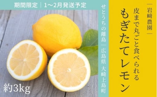 [1〜2月発送] 大崎上島産 皮まで丸ごと食べられる！もぎたてレモン約3kg 338594 - 広島県大崎上島町