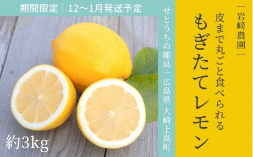 [12〜1月発送] 大崎上島産 皮まで丸ごと食べられる！もぎたてレモン約3kg 338593 - 広島県大崎上島町