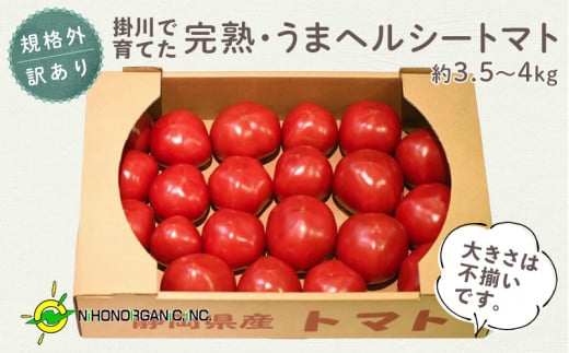 5208 掛川で育てた「規格外・訳あり」完熟・うまヘルシートマト・約3.5~4kg 日本オーガニック・大きさは不揃いです ※大きさが不揃いのため重さが500gほど前後します 日本オーガニック